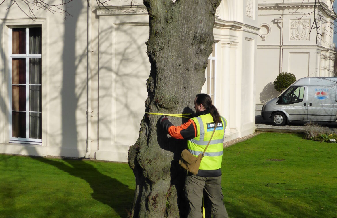 How Long Will a BS5837 Tree Survey Take? - Arbtech