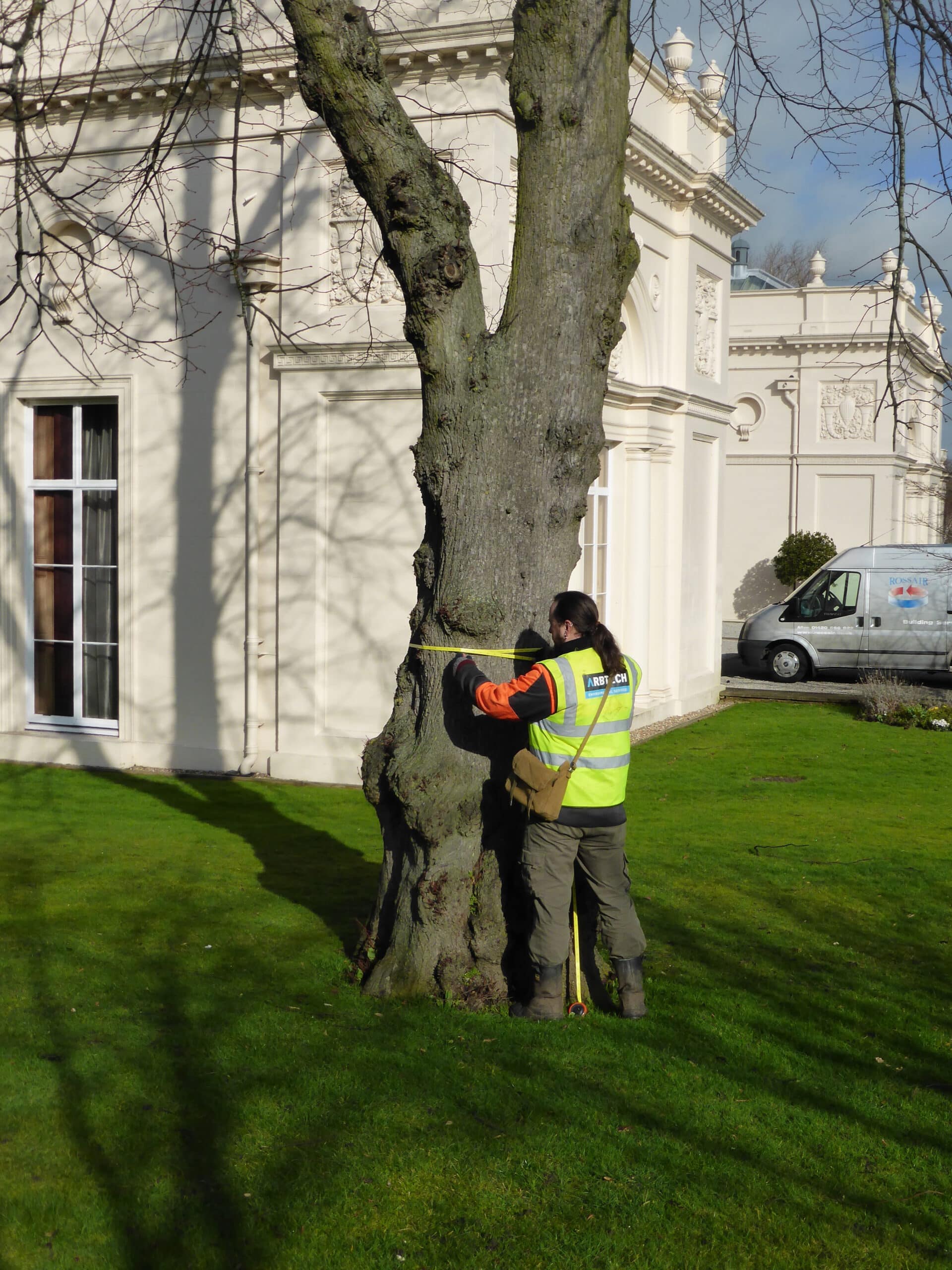 A Mortgage Tree Survey in London
