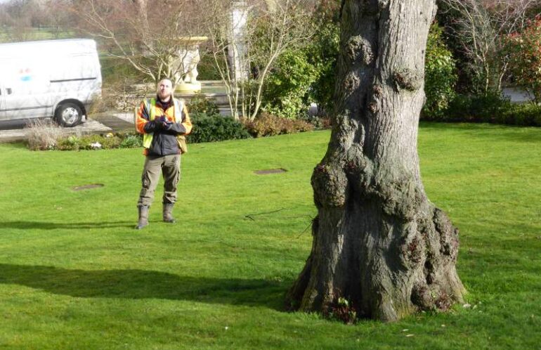 Jon Hartley Surveying Trees With Trimble Juno