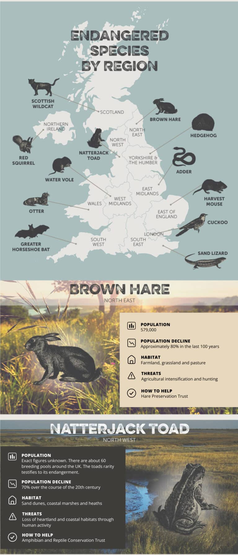 Your Local Endangered Species Guide [infographic] - Arbtech