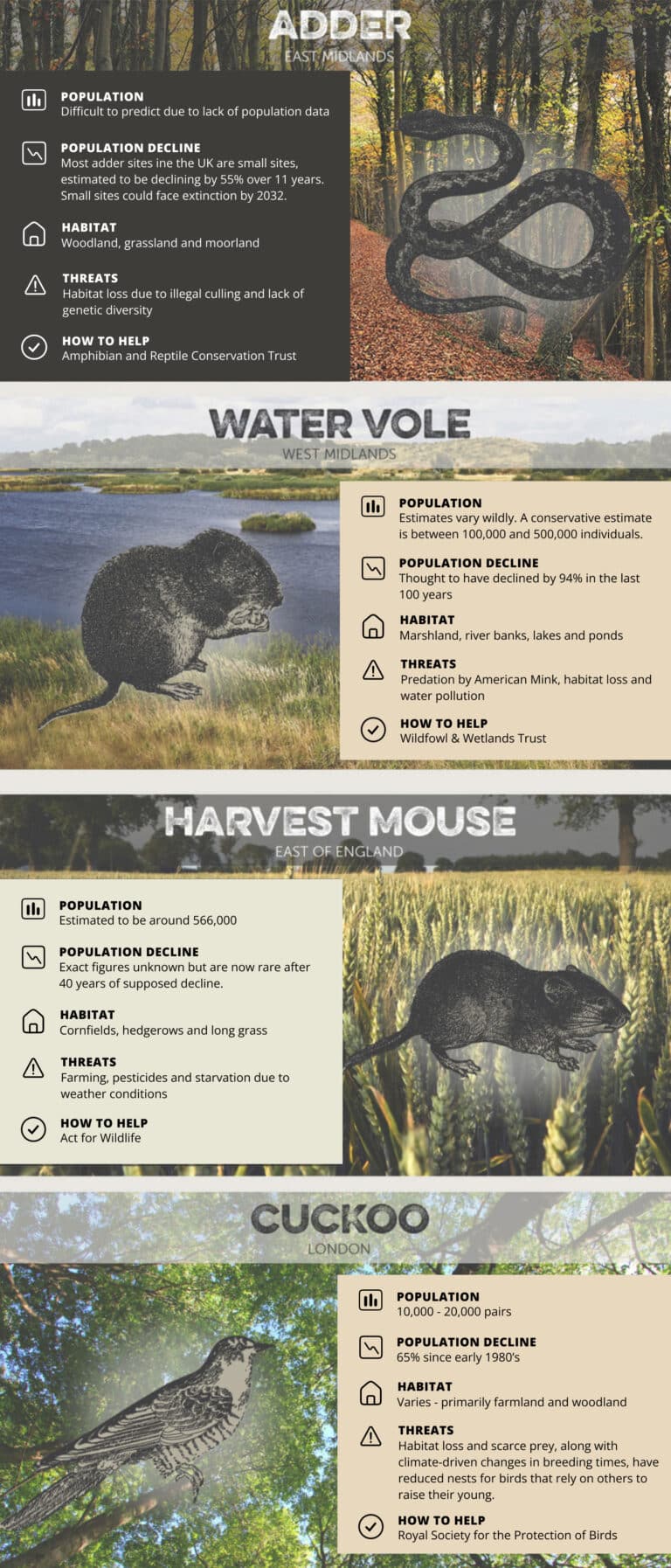 Your Local Endangered Species Guide [infographic] - Arbtech