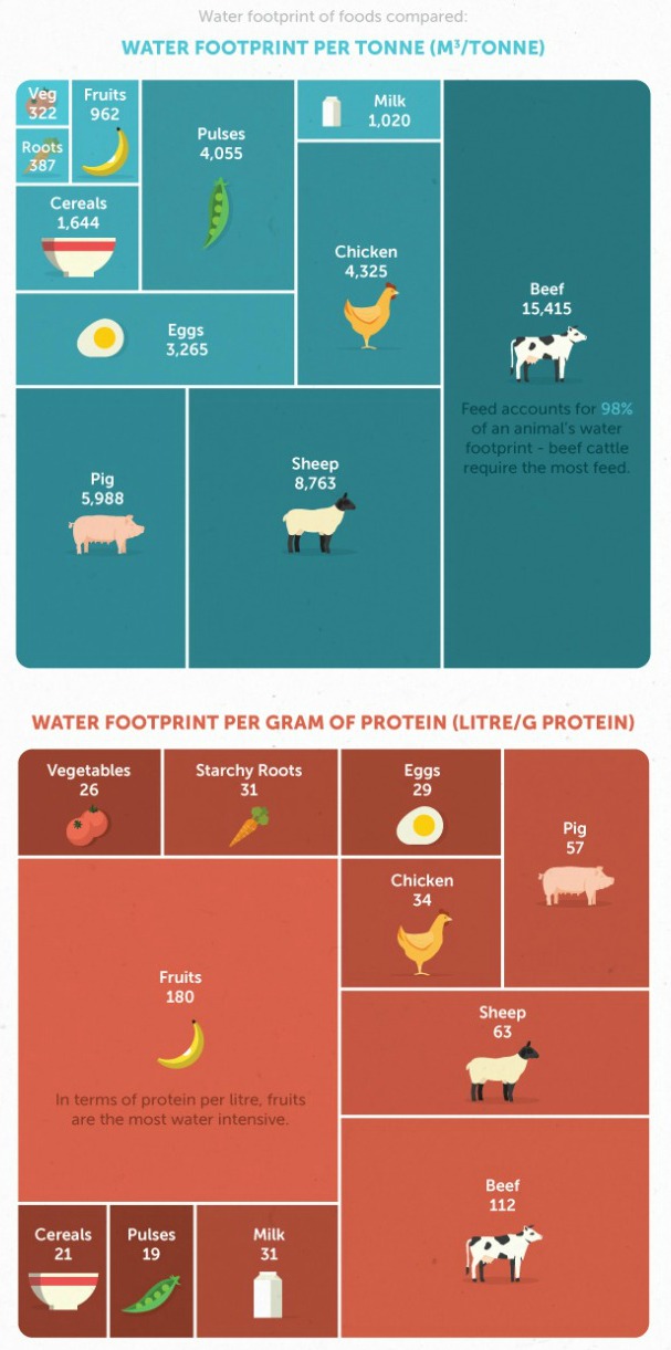 infographic-can-vegWater Footprint of Foods Compared