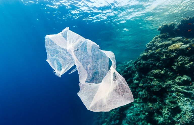 Ocean plastics have become a huge environmental issue. Lucy Siegle explains why for Arbtech.