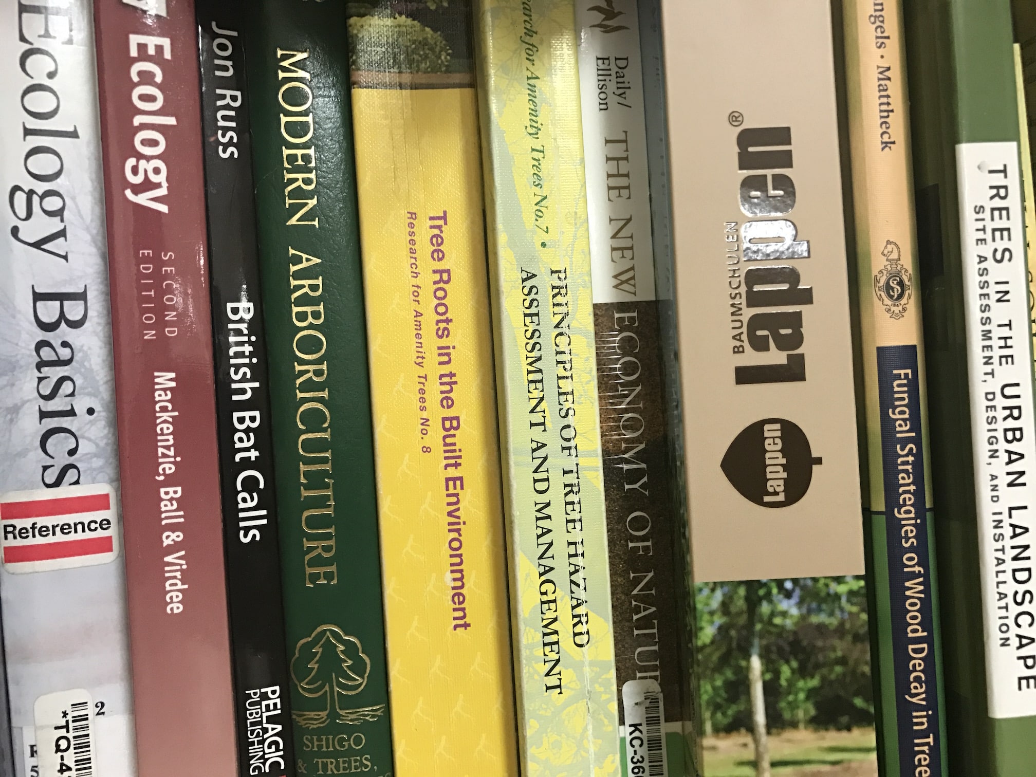 Books vs Degree