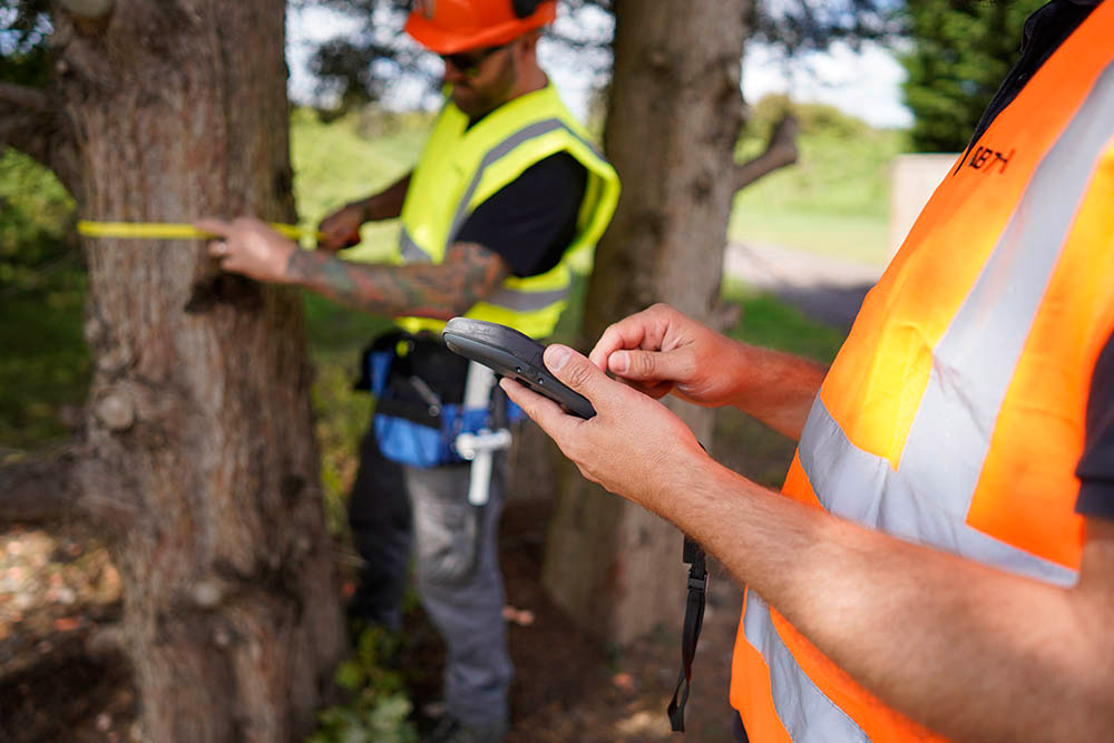Arbtech tree surveys