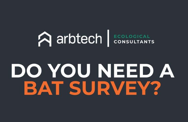 bat-survey-featured