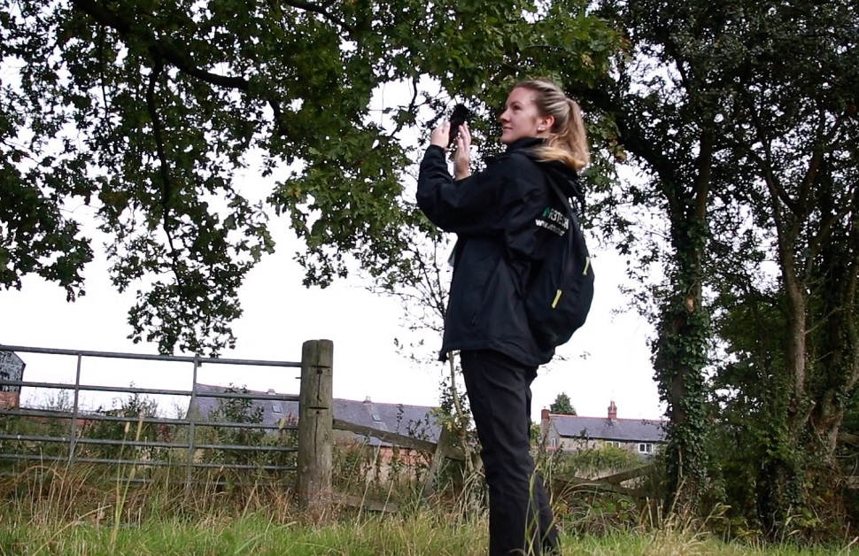 an ecologist carrying out an ecological survey