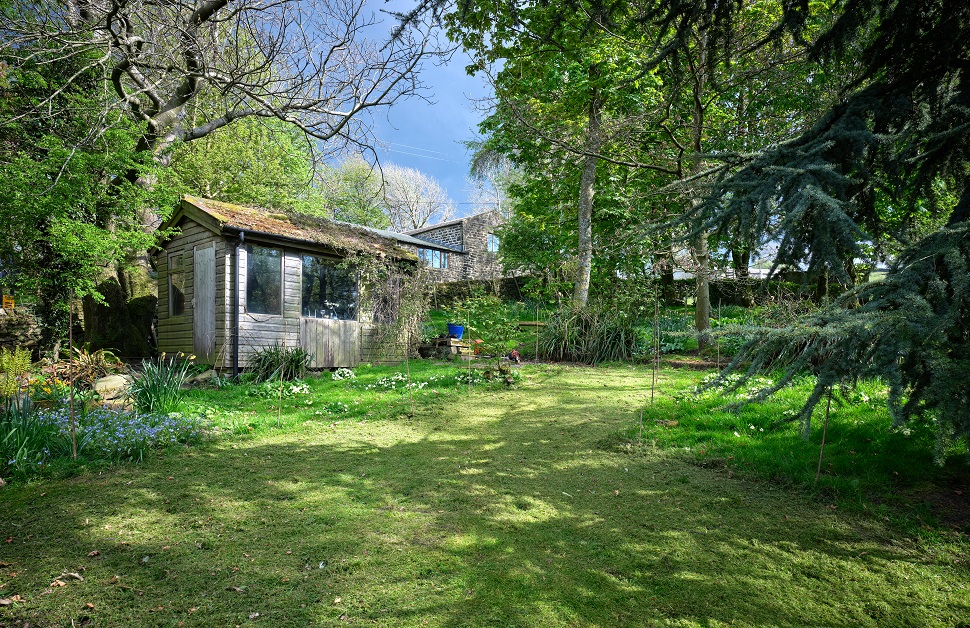 A forest smallholding for sale