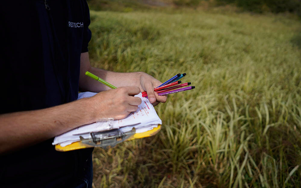 An Arbtech Habitat Survey