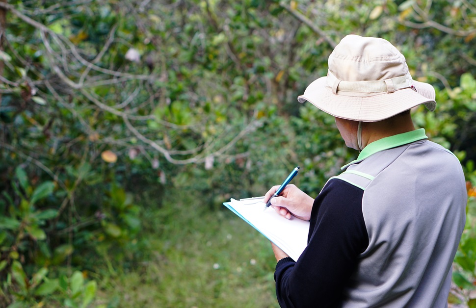 an ecological consultant writing up a biodiversity net gain report in a wooded area