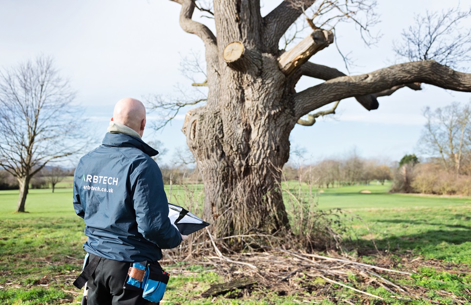 Rob Dennis of Arbtech making notes on a tree for a tree survey