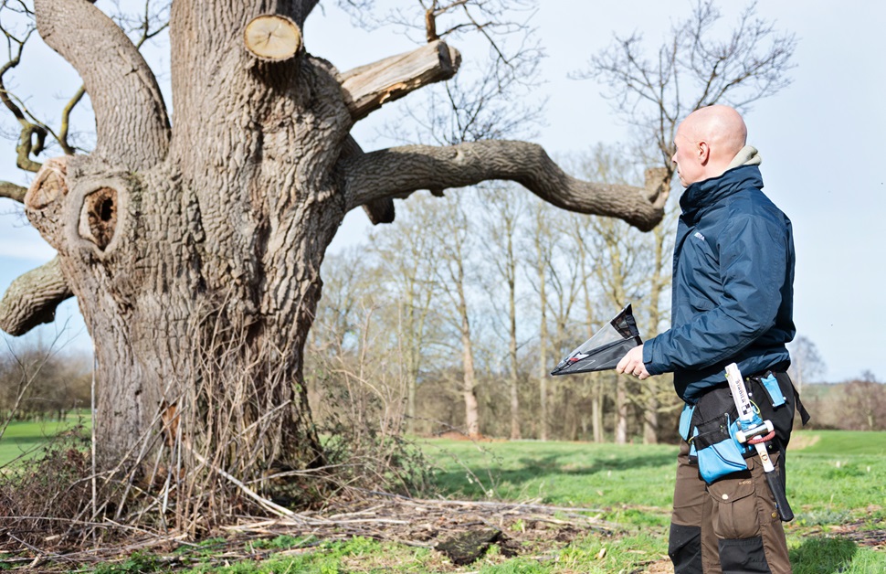 Rob Dennis of Arbtech evaluating a tree during a tree survey