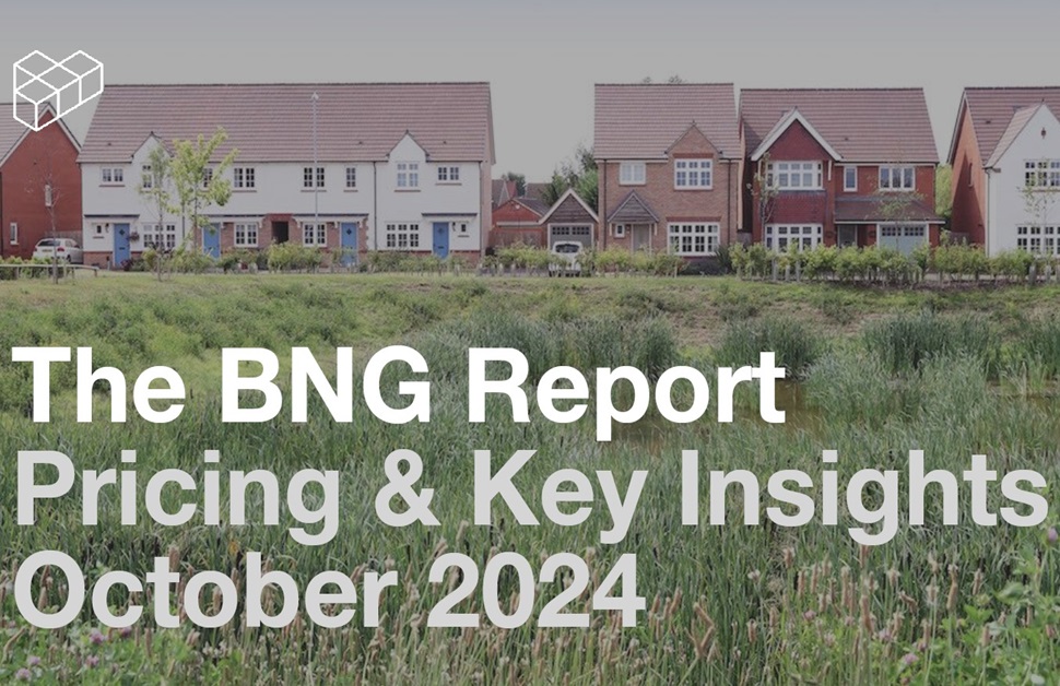 The BNG Report from Biodiversity Units UK