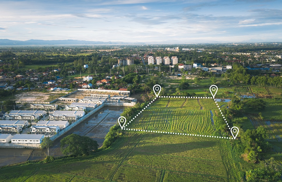 An overview of a habitat bank in England