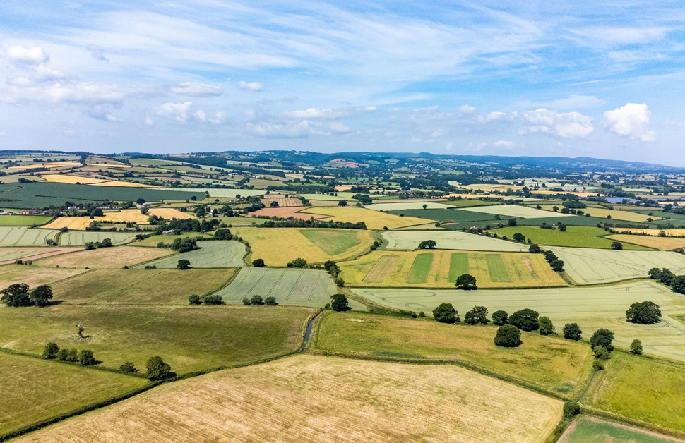 An open patch of available land in England