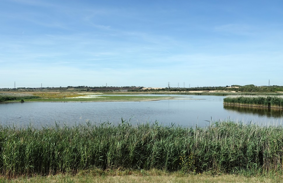 an open Marsh in Essex, England