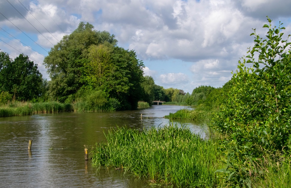 an open catchment area in England with trees behind it