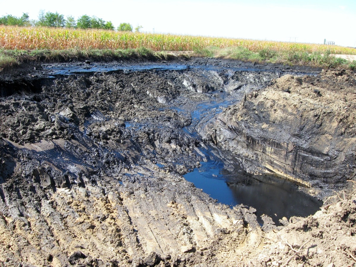 Human health and the environment must be a priority in contaminated land investigations.