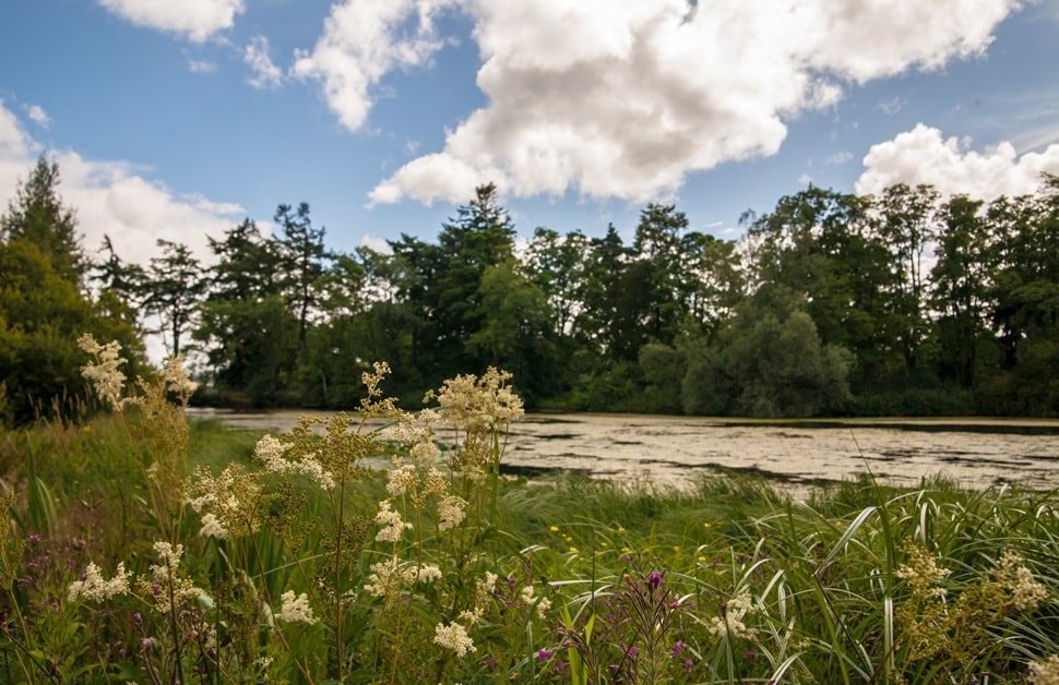 A rural site with a river next to it