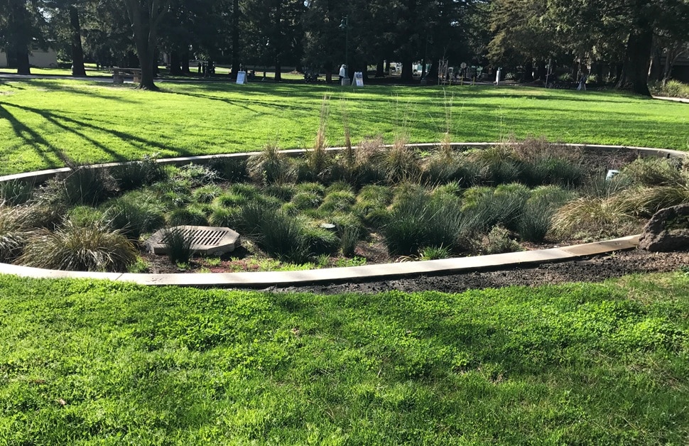 a swale on a residential site