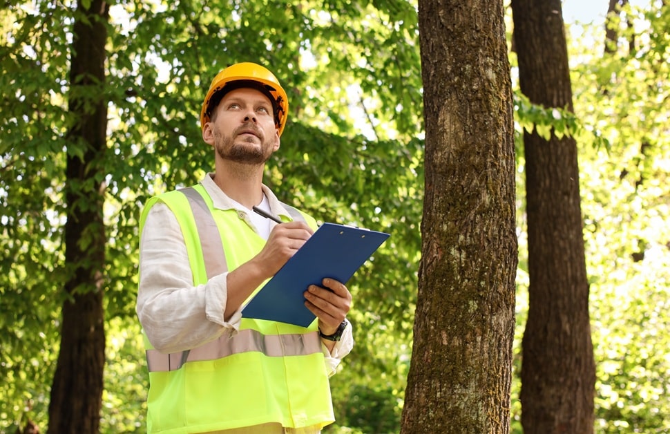 an arboricultural consultant making checks and taking notes for a mortgage tree report