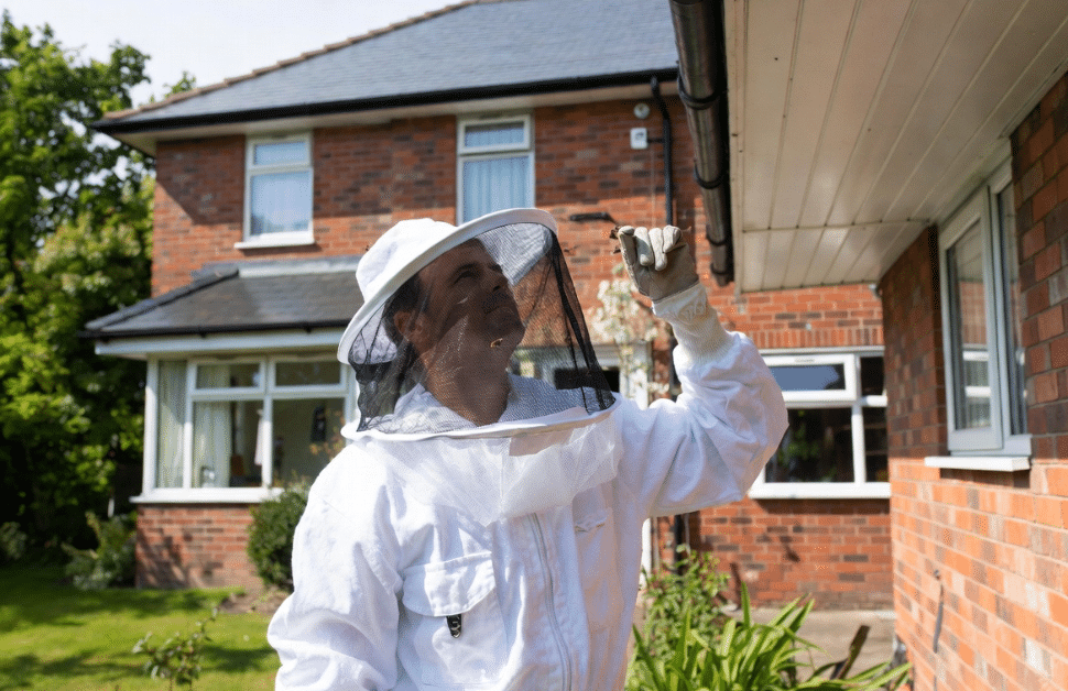 An expert performing checks on a property, as part of a bee removal service