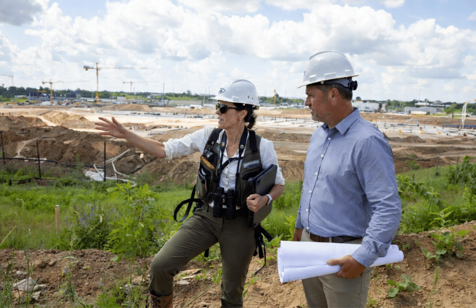 An ecological consultant helping a developer with applying biodiversity net gain to a nationally significant infrastructure project
