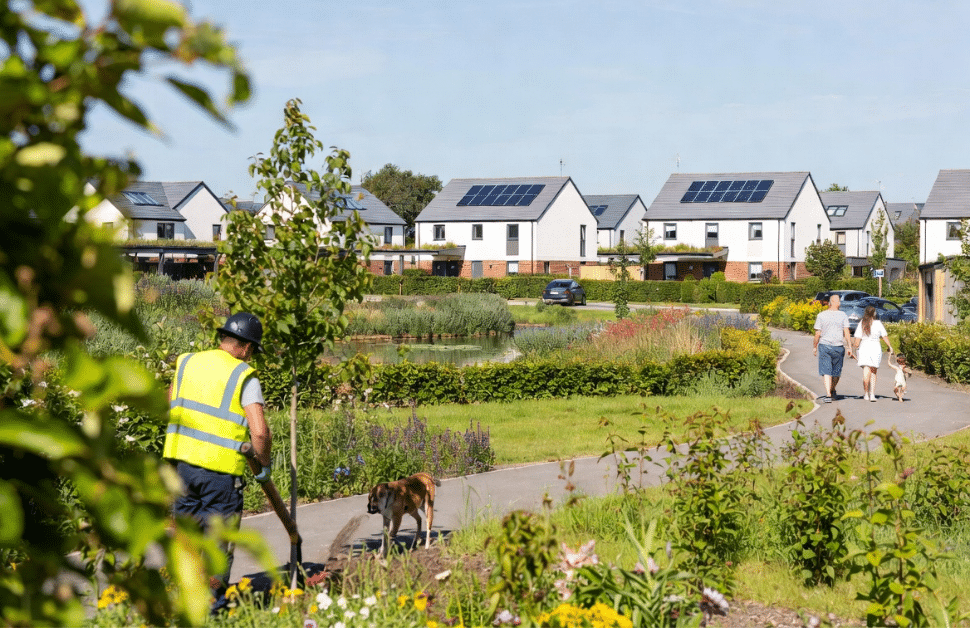 A construction worker on a development site ensuring biodiversity net gain (BNG) values