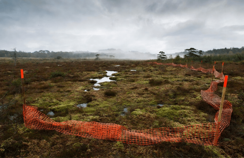 An irreplaceable habitat with fencing around it