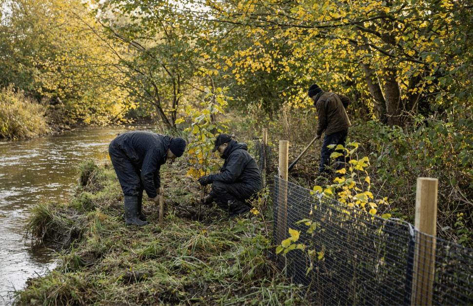 Ecological consultant carrying out the necessary habitat management and monitoring on a biodiversity gain site